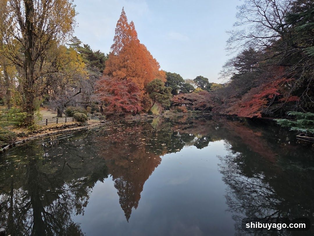 Autumn Reflections in a Serene Pond
