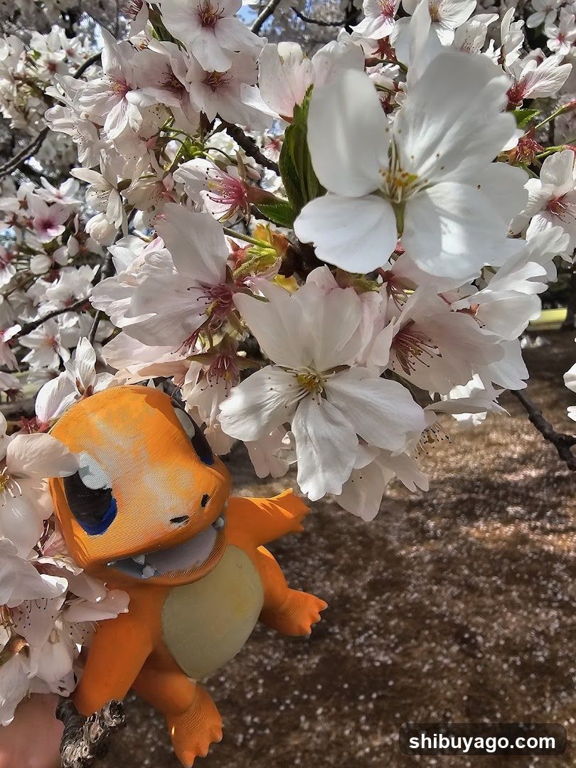Charmander among cherry blossoms