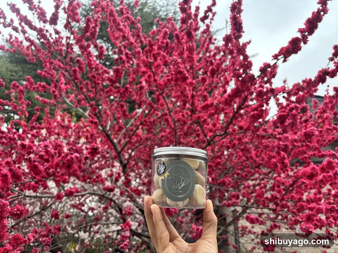 Hand holding jar of cookies in front of pink blossoms