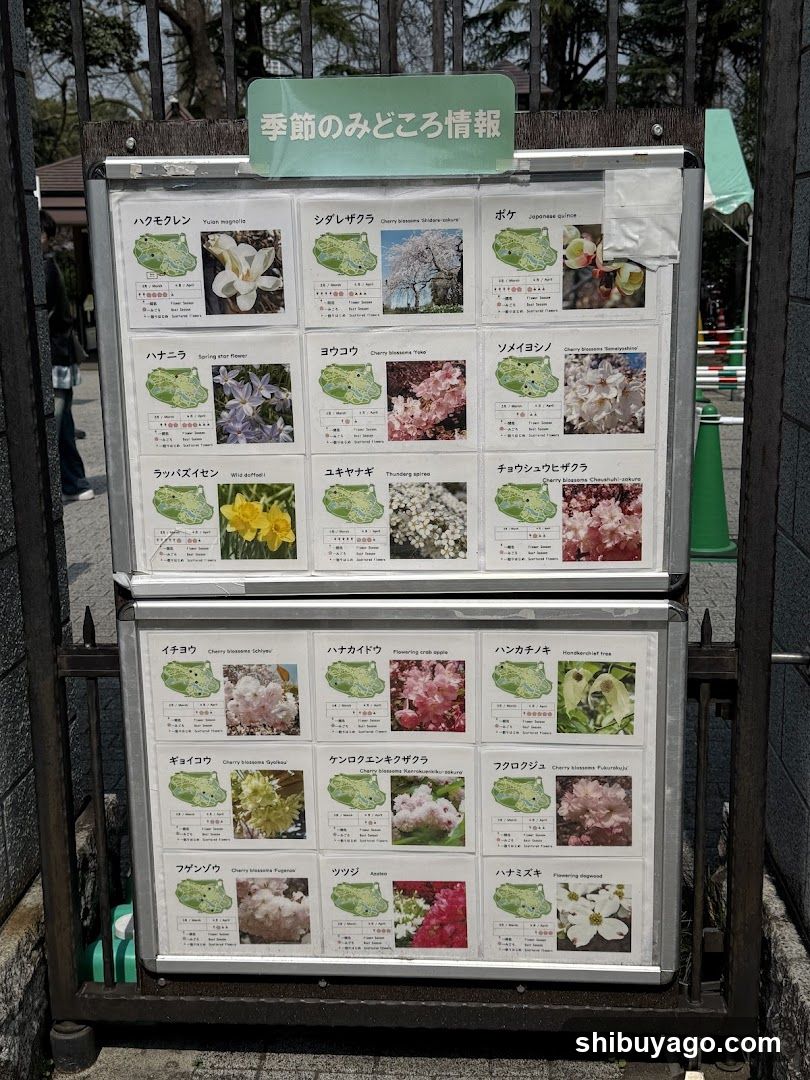Seasonal Flower Information Board