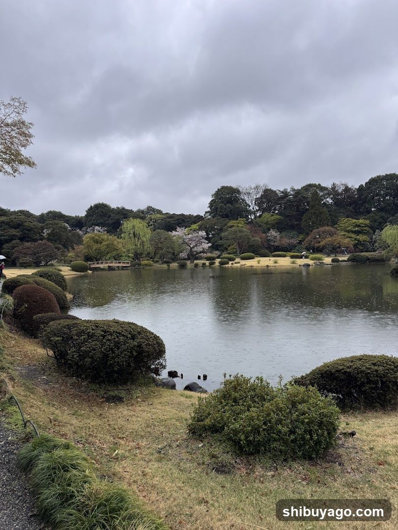 Garden Lake View