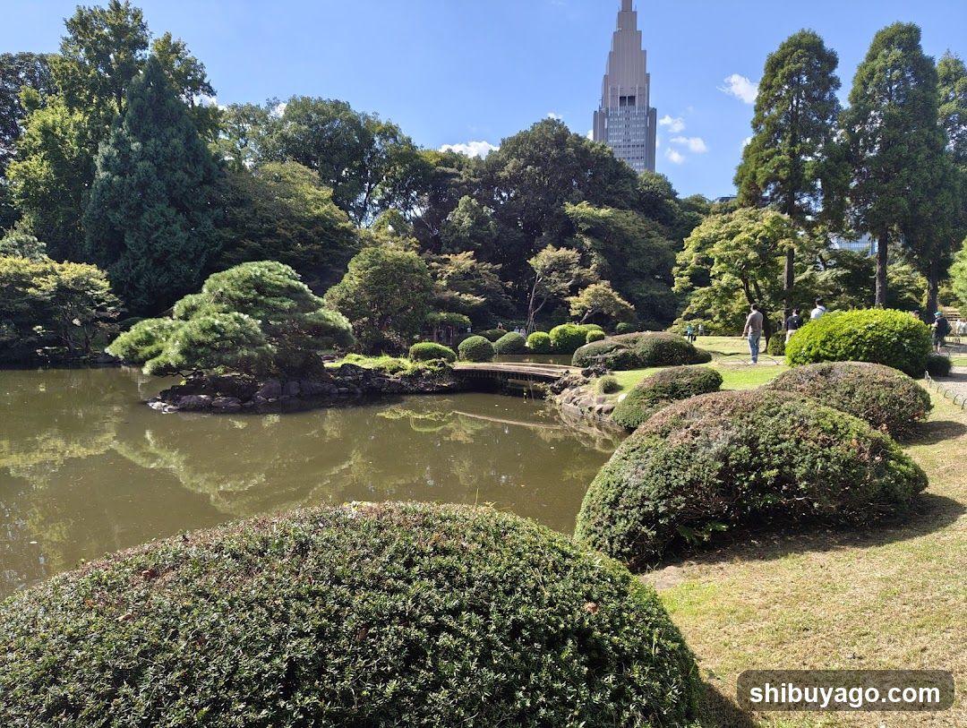 Garden with Pond and Tower in Background
