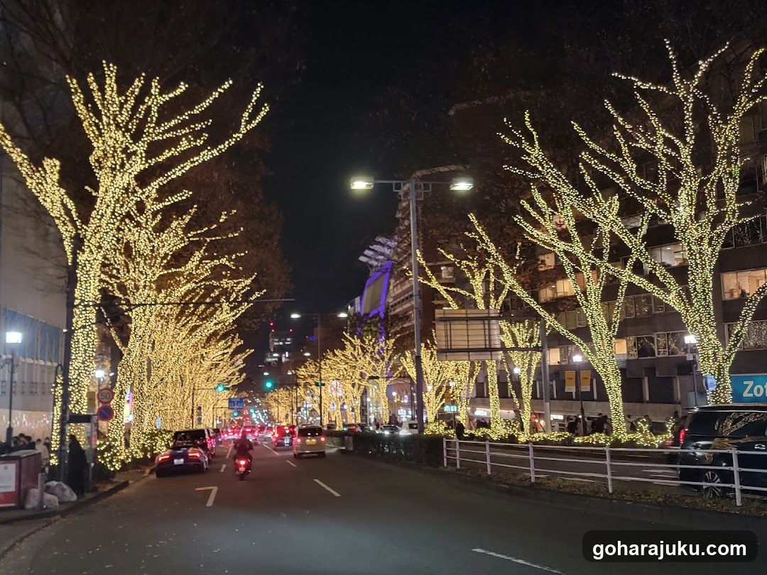Night Street with Lights