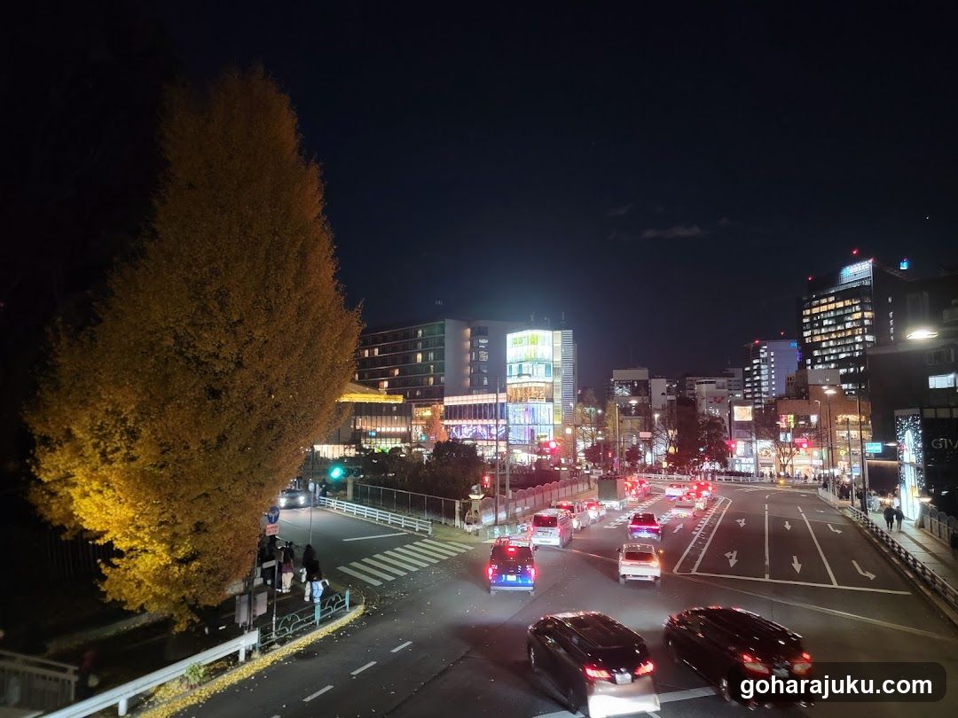 Night City Street View with Illuminated Buildings and Traffic