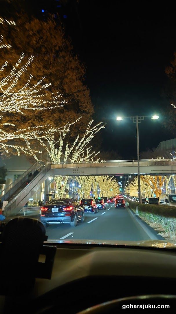 Night street scene with illuminated trees and pedestrian bridge