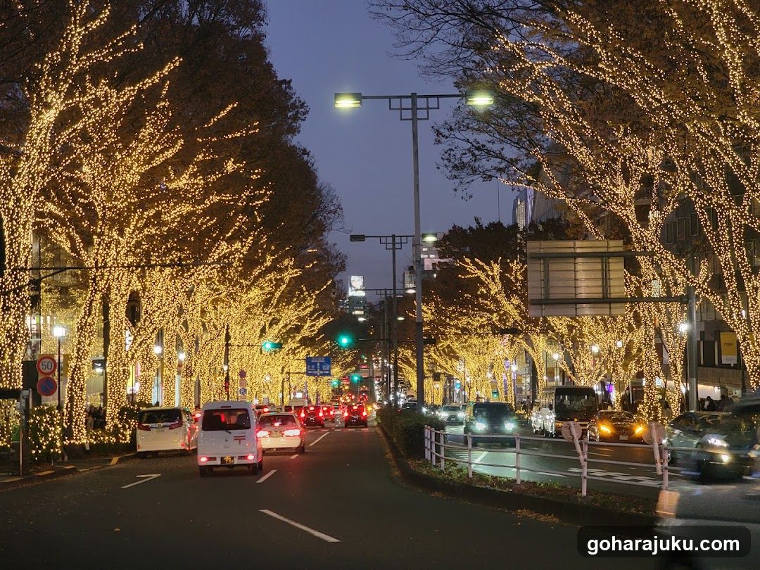 Christmas lights on street trees at dusk