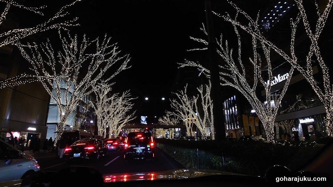 Night Street with Decorated Trees