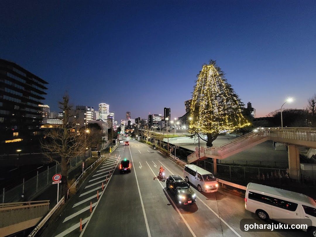 Night City Street with Decorated Tree