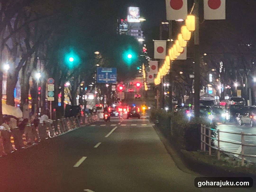 Night street scene with traffic lights and illuminated signs