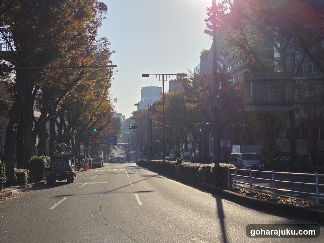 Sunlit Urban Street in Autumn