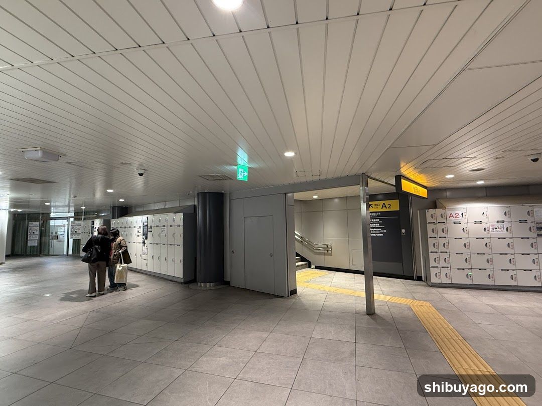 Shibuya Chikamichi