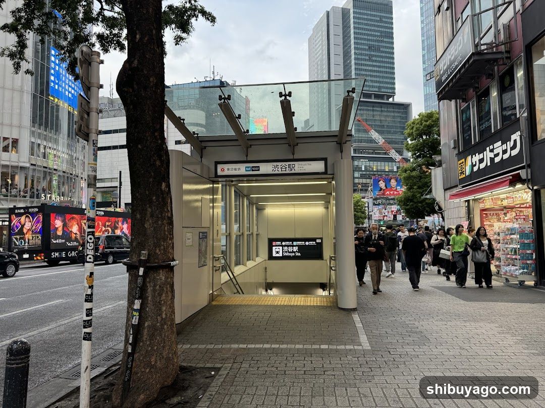 Shibuya Chikamichi