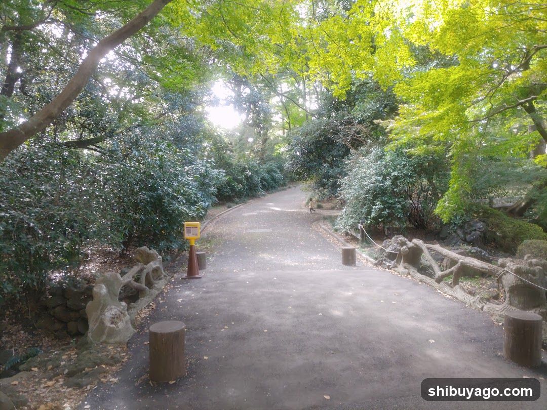 渋谷川源流