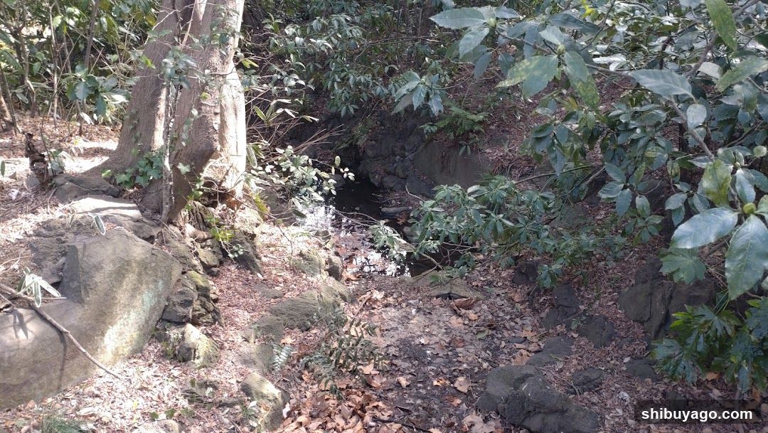 渋谷川源流