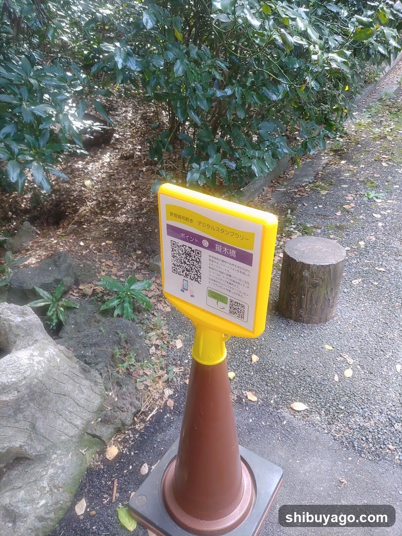 渋谷川源流