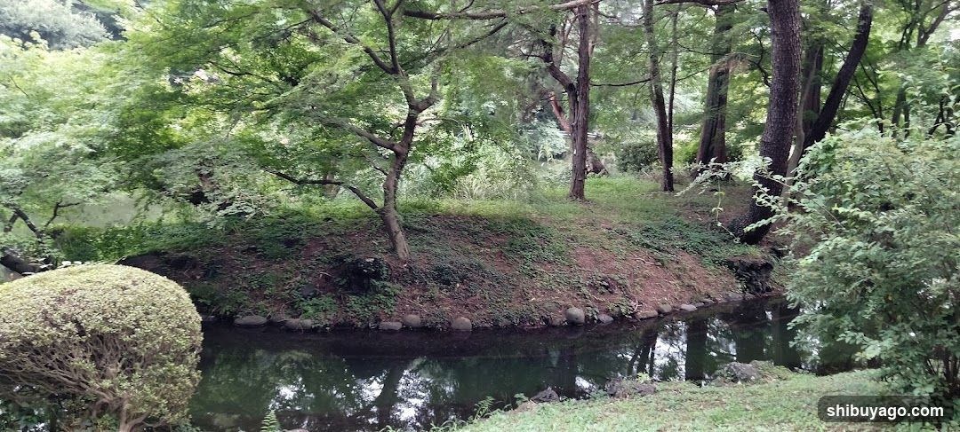 渋谷川源流