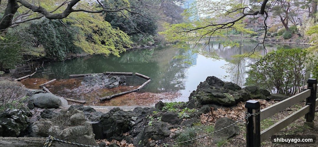 渋谷川源流