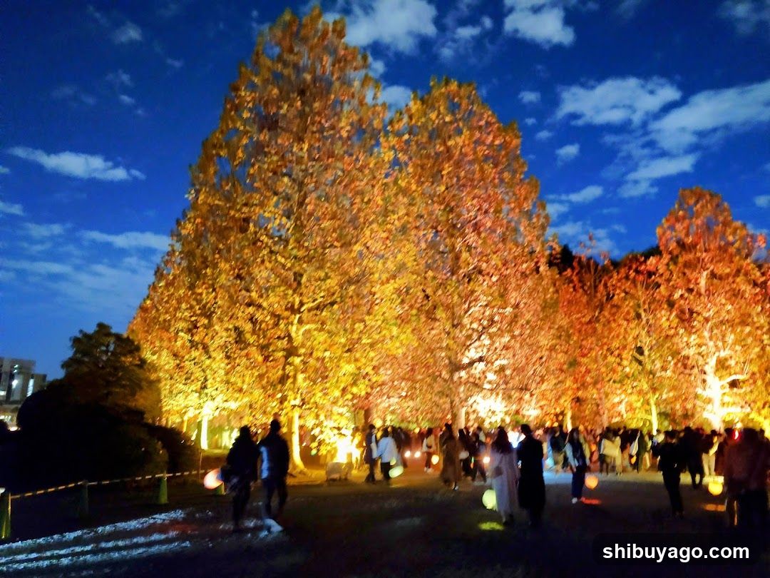 Row Of Plane Trees