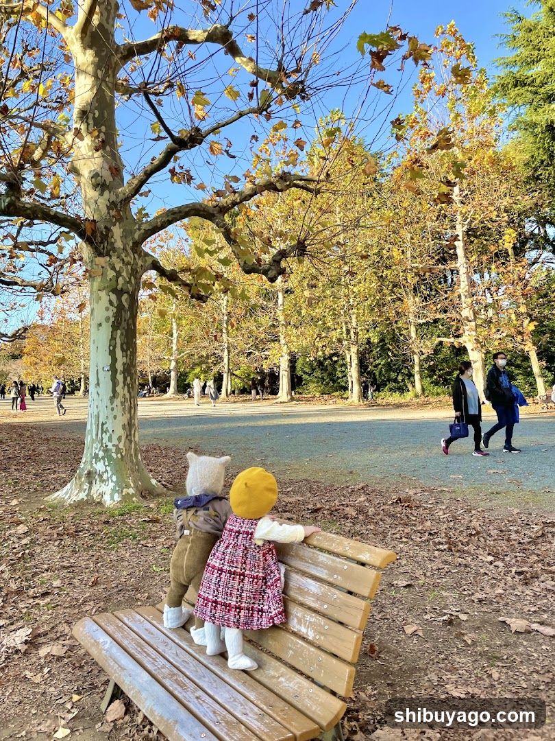 Row Of Plane Trees