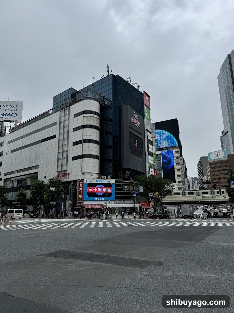 SHIBUYA SCRAMBLE S