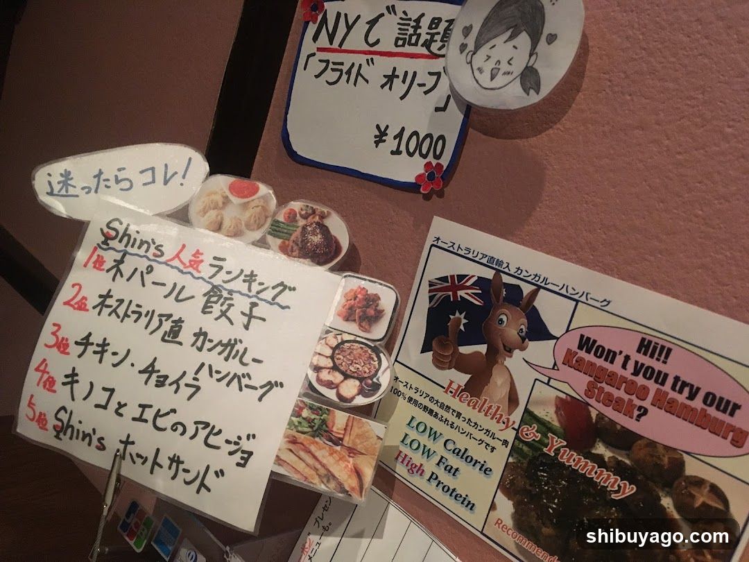 Shin's