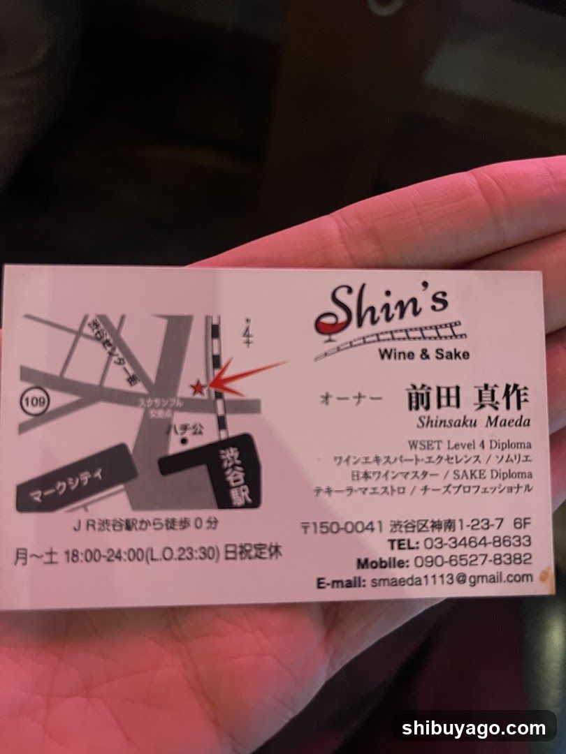 Shin's