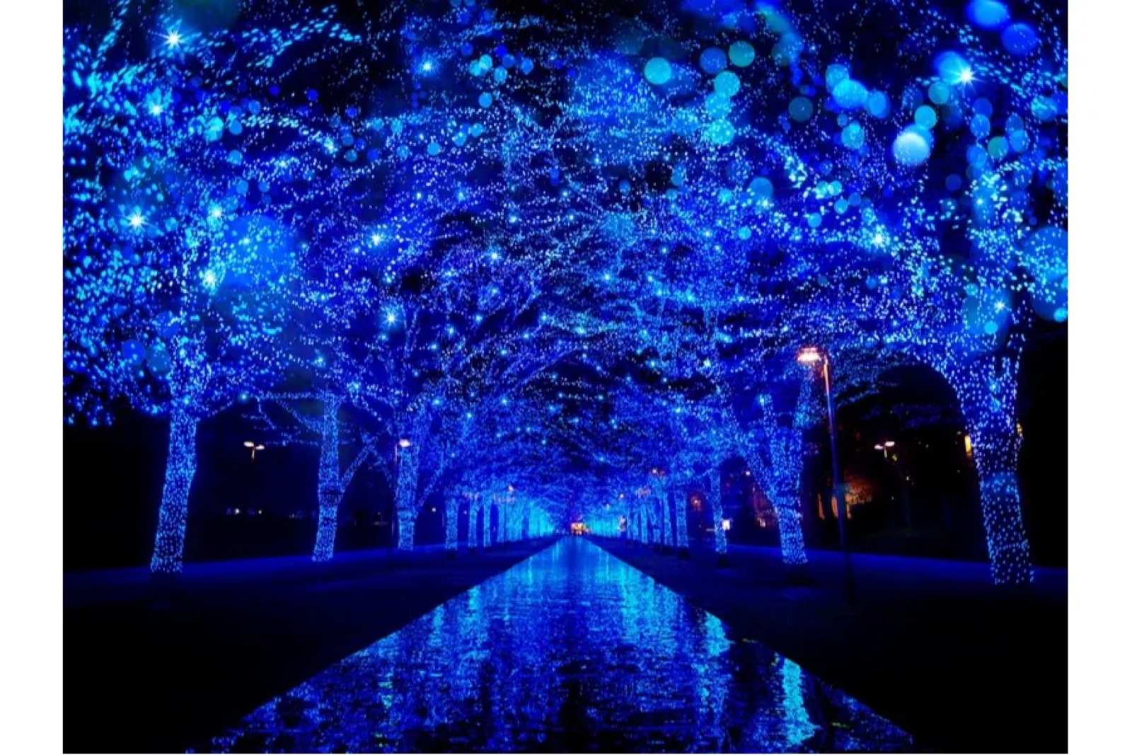 Blue Cave SHIBUYA 2026