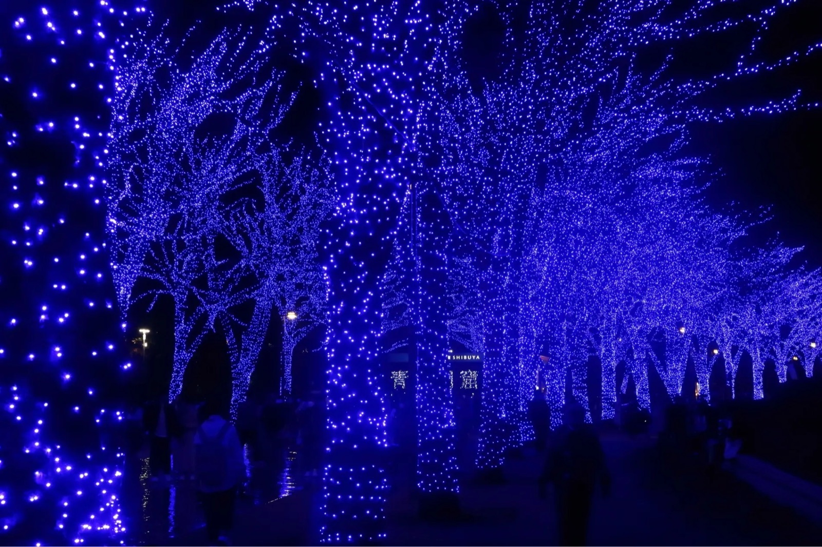 Blue LED tunnel on Koen-dori, past Blue Cave SHIBUYA