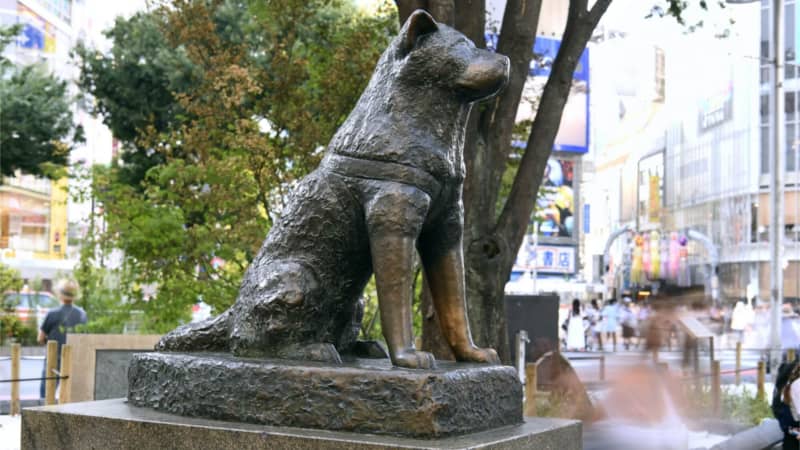 Hachiko statue near Shibuya Station meeting point